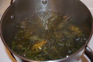 Treatment of varicose veins with Chinese herbal decoction