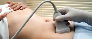 Ultrasound examination of the genital area using the sensor
