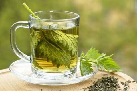 Herbal tea for preventing varicose veins